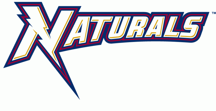 Northwest Arkansas Naturals 2008-Pres Wordmark Logo iron on transfers for clothing